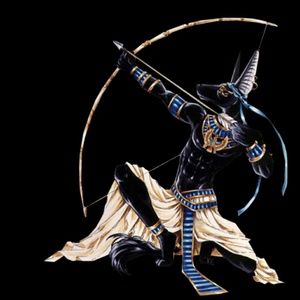 Meet your Posher, Blake